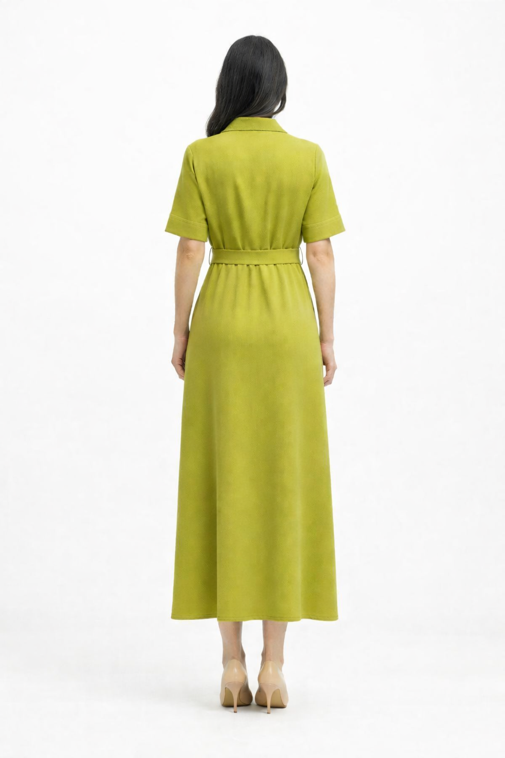 “Olive Élégance”